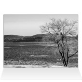 春解凍蒸気船波止場 (内部横(上))