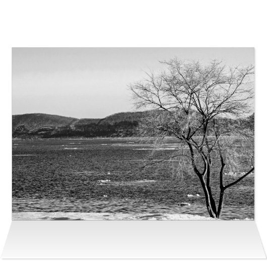 春解凍蒸気船波止場 (内部横(上))