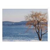 春解凍蒸気船波止場 (正面横)