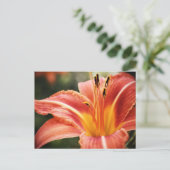 春詩 ポストカード (スタンド正面)