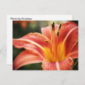 春詩 ポストカード (正面/裏面)