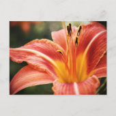 春詩 ポストカード (正面)