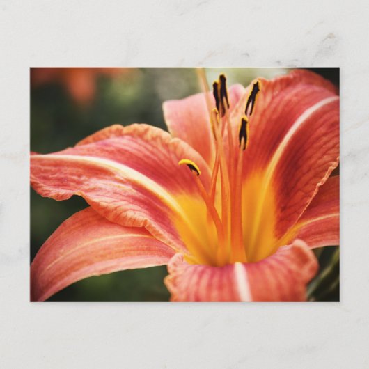 春詩 ポストカード (正面)