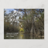 春走入り冬はがき ポストカード (正面)