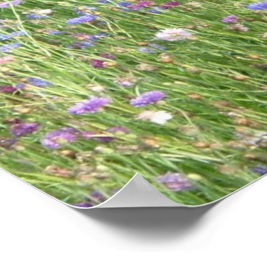 春野花 ポスター (角)