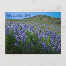 春開花アットセージ・ヒルズWenatchee,ワシントン ポストカード