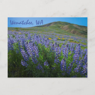春開花アットセージ・ヒルズWenatchee,ワシントン ポストカード