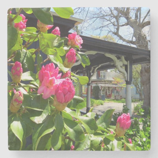 春開花インコテージシティ – マーサズヴィネヤード ストーンコースター (正面)