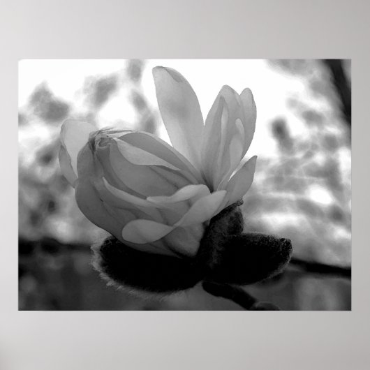 春開花プリント ポスター (正面)