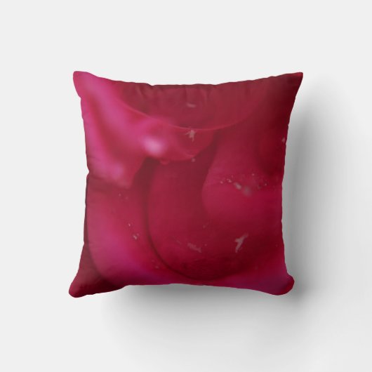 春開花 クッション (裏面)