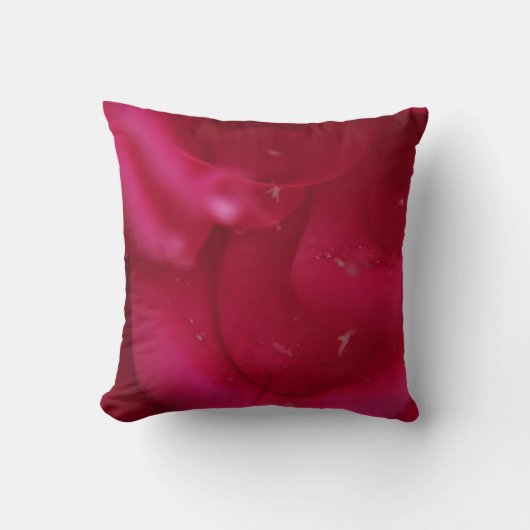 春開花 クッション (正面)