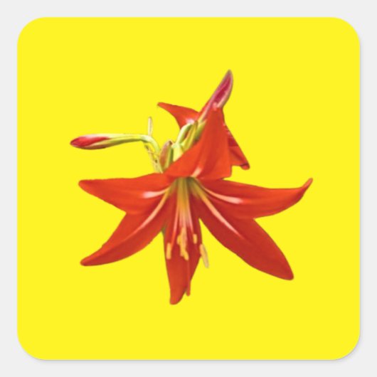 春開花 スクエアシール (正面)