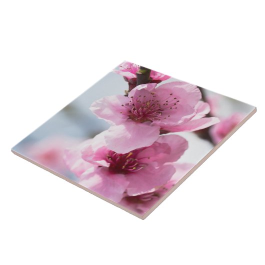 春開花 タイル (側面)