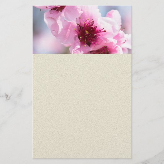 春開花 チラシ (正面)