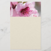 春開花 チラシ (裏面)