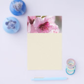 春開花 チラシ (シングル)