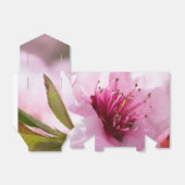 春開花 フェイバーボックス (折り畳みなし)