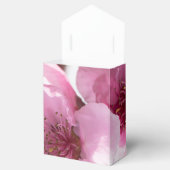 春開花 フェイバーボックス (オープン)