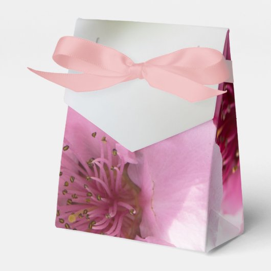 春開花 フェイバーボックス (正面サイド)