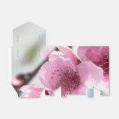 春開花 フェイバーボックス (折り畳みなし)