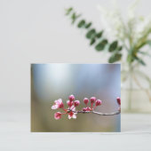 春開花 ポストカード (スタンド正面)