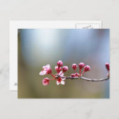 春開花 ポストカード (正面/裏面)