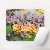 春開花 マウスパッド (マウス)