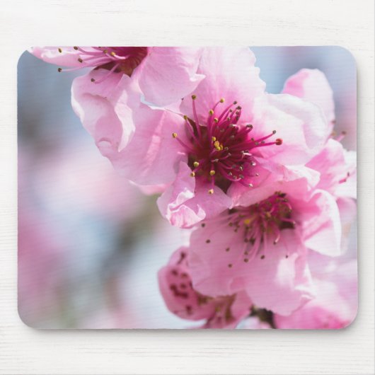 春開花 マウスパッド (正面)