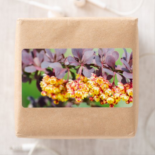 春開花 ラベル (インサイチュ)