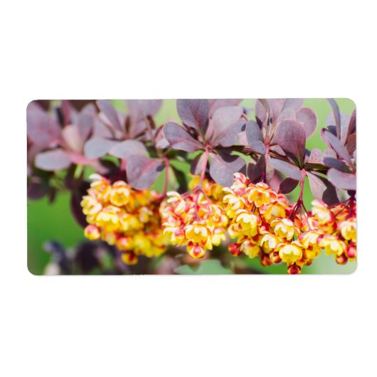 春開花 ラベル (正面)