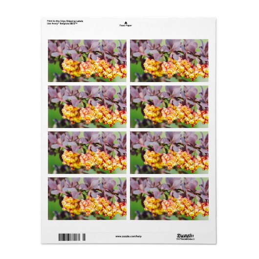 春開花 ラベル (フルシート)