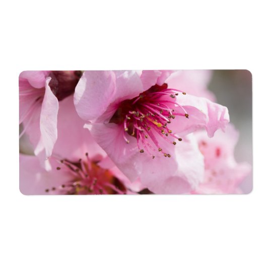 春開花 ラベル (正面)
