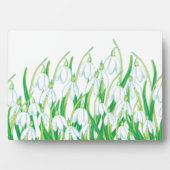 春雪 フォトプラーク (正面)