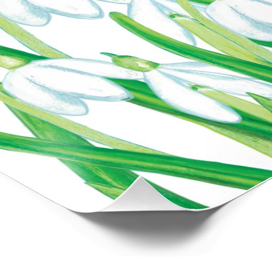 春雪 ポスター (コーナー)