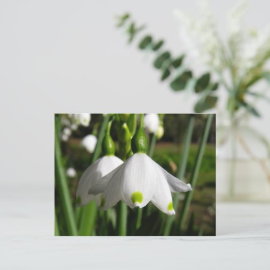 春雪 ポストカード (スタンド正面)