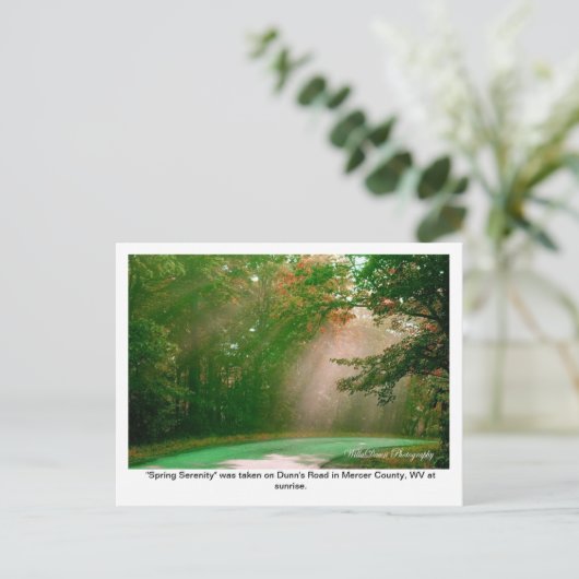 春静穏 ポストカード (スタンド正面)