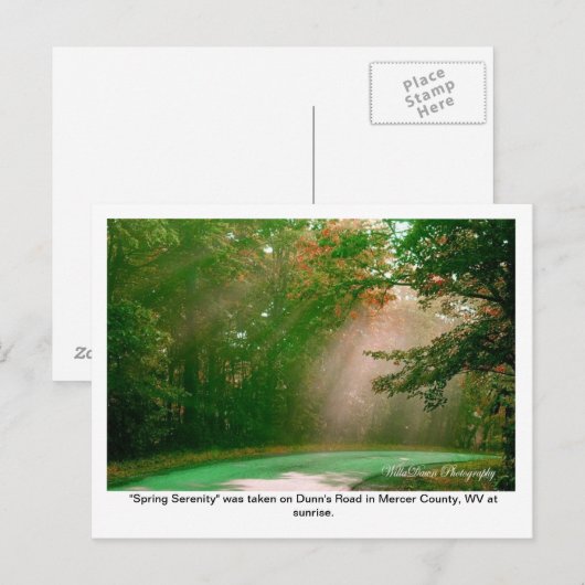 春静穏 ポストカード (正面/裏面)