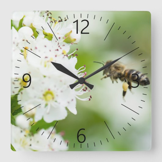 春飛んでいるの花へ スクエア壁時計 (正面)