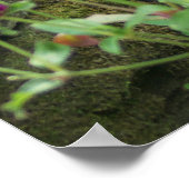 春食べ物を与え ポスター (角)