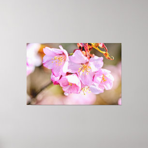 春魅力的にカッコいい桜の花 キャンバスプリント