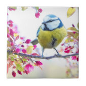 春鳥 タイル (正面)