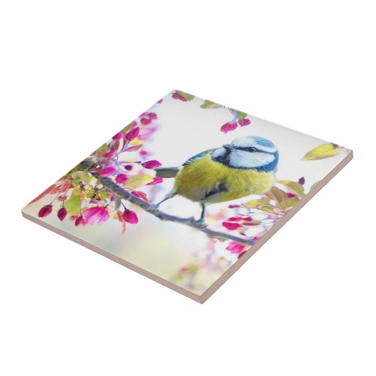 春鳥 タイル (側面)