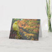 春鶏 カード (正面)