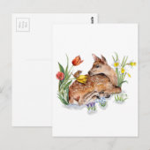 春鹿 ポストカード (正面/裏面)