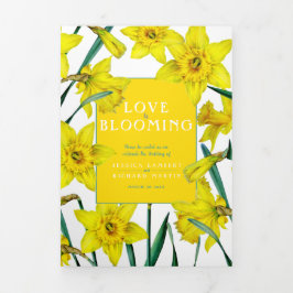 春黄水白緑結婚色 三つ折りプログラム