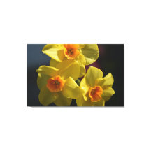 春黄色の紅斑花の写真アート。