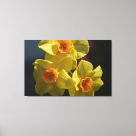 春黄色の紅斑花の写真アート。 キャンバスプリント