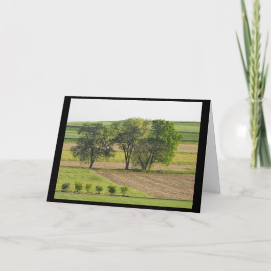 春16 ～ '10 ～ シーズンカード (正面)