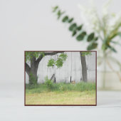 ～春36～ ポストカード (スタンド正面)