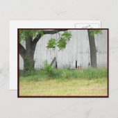 ～春36～ ポストカード (正面/裏面)